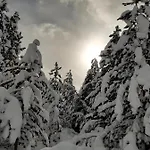 Green Cottage Blidinje