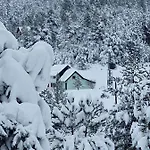 Prázdninový dům Green Cottage *