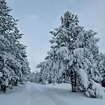 Prázdninový dům Green Cottage