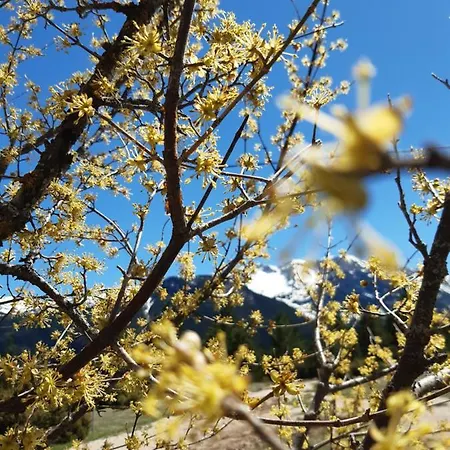 Green Cottage Дом отдыха *