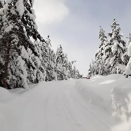 Green Cottage Дом отдыха Blidinje