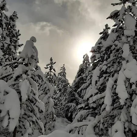 Green Cottage Blidinje