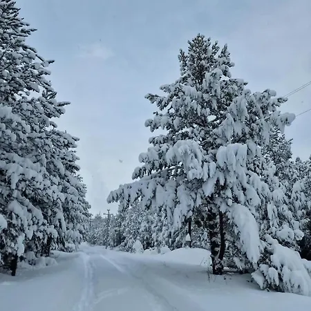 Casa vacanze Green Cottage