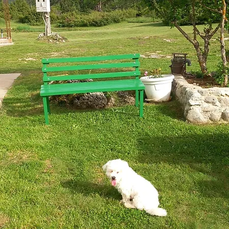 Green cottage