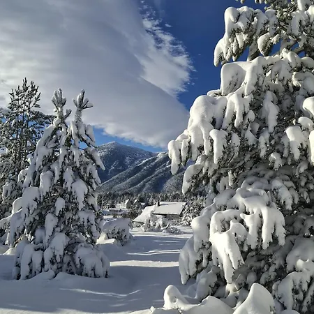 Green Cottage Дом отдыха