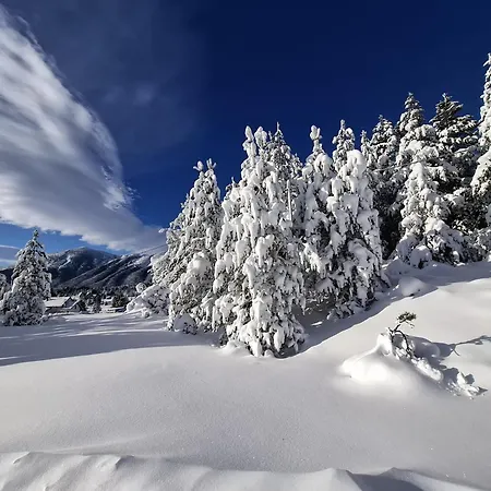 Green Cottage Дом отдыха *