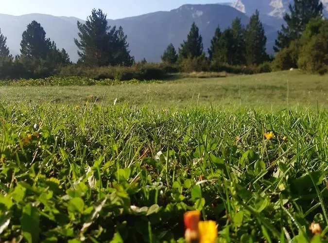 Green Cottage Casa de Férias *