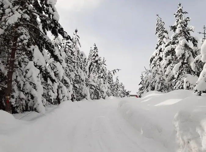 Green Cottage Casa de Férias Blidinje
