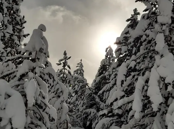 Green Cottage Blidinje