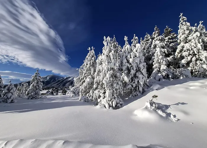 Green Cottage Casa de Férias *